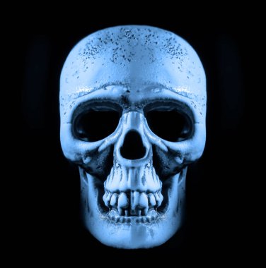 İnsan kafatası. Işık ve gölge. Yazı için boş kopyalama alanı.