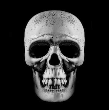 İnsan kafatası. Işık ve gölge. Yazı için boş kopyalama alanı.