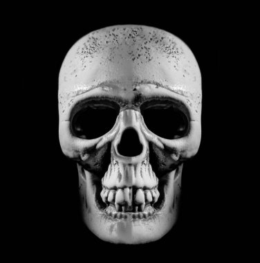 İnsan kafatası. Işık ve gölge. Yazı için boş kopyalama alanı.