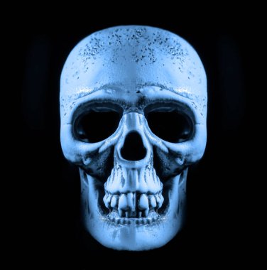 İnsan kafatası. Işık ve gölge. Yazı için boş kopyalama alanı.