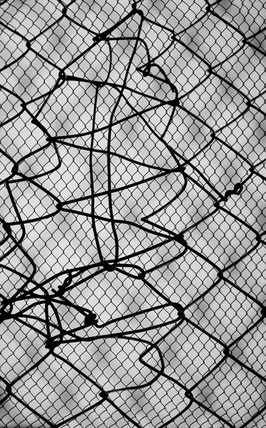 Δίχτυ Χάλυβα Απομονωμένο Λευκό Φόντο Silhouetted Δίχτυ Σιδήρου Κατά Του — Φωτογραφία Αρχείου