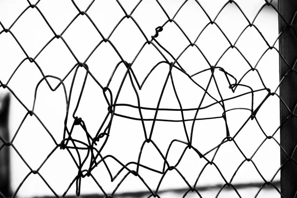 Steel Net Isolated White Background Silhouetted Iron Net White — Stock Photo, Image