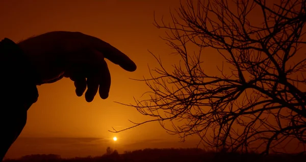 Silhouette Human Hand Blurred Landscape Background — Stock Photo, Image