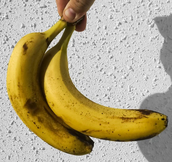 Gula Bananer Manlig Hand Vit Betong Vägg Bakgrunden Solljus Och — Stockfoto