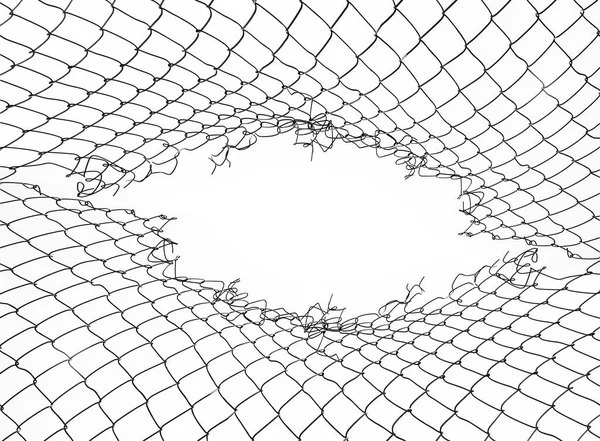Повреждения Сетки Проволоки Белом Фоне Сетка Сетки Отверстием Изолированы Белом — стоковое фото