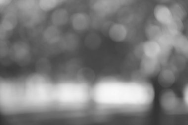 Mavi fotoğraf Doğal yeşil ağaçlar çimenlik yeşil arka plan güzel çimenlik gölgeler pürüzsüz çimenlik. Güneş ışığıyla...