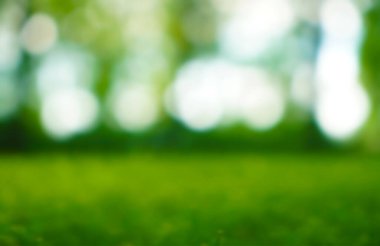 Doğal bokeh.blured fotoğraf Doğal yeşil ağaçlar Çimen ve ağaçlar yeşil zemin.