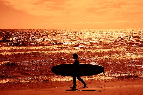 Silueta Mujer Surfista Llevando Tabla Surf Mujer Joven Vistiendo Traje — Foto de Stock