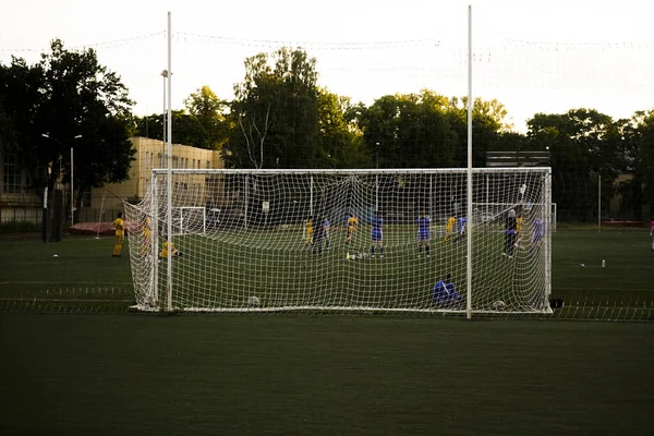Kvinnlig Målvakt Med Ryggen Mot Målet Laget Spelar Fotboll Mesh — Stockfoto