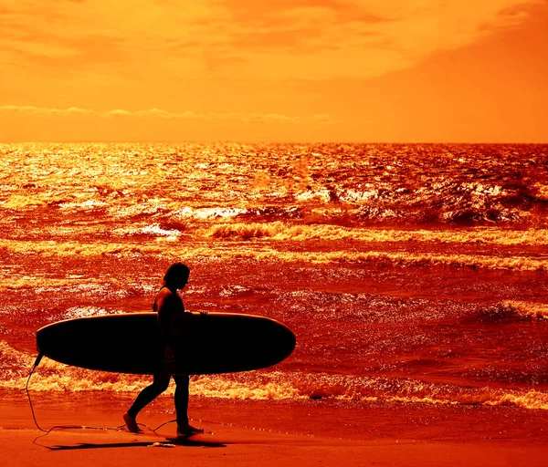 Silhouette Einer Surferin Mit Surfbrett Junge Frau Trägt Neoprenanzug Hält — Stockfoto