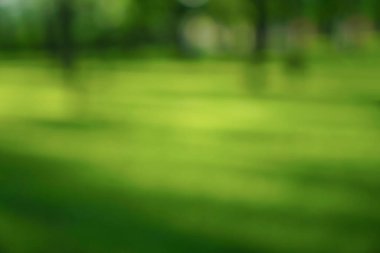 Çayırla çevrili güzel ekoloji doğa manzarası. Soyut yeşil çimen arka plan, gün batımı ışığı, parlak barışçıl doğa manzarası. Bulanık ağaçlar ve güneş ışınları. Rüya yeşilliği, ilkbahar yaz manzarası.