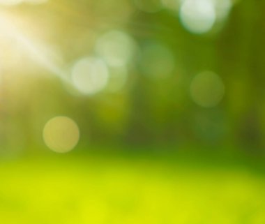 Bulanık görüntü. Yaz dönemi. Güneşli gün batımı. Soyut bahar parkı ya da orman arkaplanı. güneş ışınları.