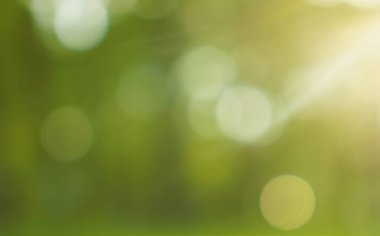 Bulanık görüntü. Yaz dönemi. Güneşli gün batımı. Soyut bahar parkı ya da orman arkaplanı. güneş ışınları.