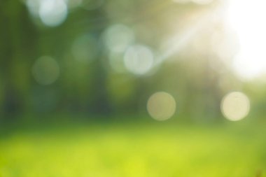 Bulanık görüntü. Yaz dönemi. Güneşli gün batımı. Soyut bahar parkı ya da orman arkaplanı. güneş ışınları.