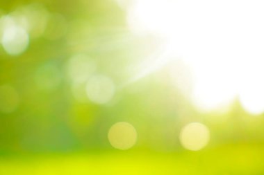 Bulanık görüntü. Yaz dönemi. Güneşli gün batımı. Soyut yaz parkı ya da orman arkaplanı. güneş ışınları.