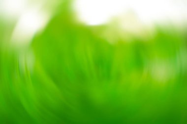 Bokeh arka planlı doğa yeşili çimenler. Taze yapraklar, yeşil çayır ve arka planda bulanıklık olan park