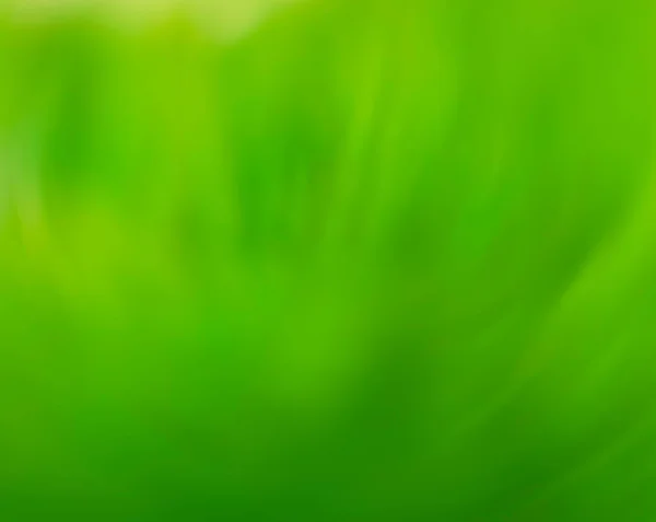Bokeh Arka Planlı Doğa Yeşili Çimenler Taze Yapraklar Yeşil Çayır — Stok fotoğraf