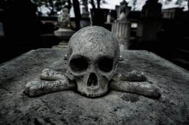 İnsan kafatası kemikleri ortaçağ mezarlığında yatıyor.