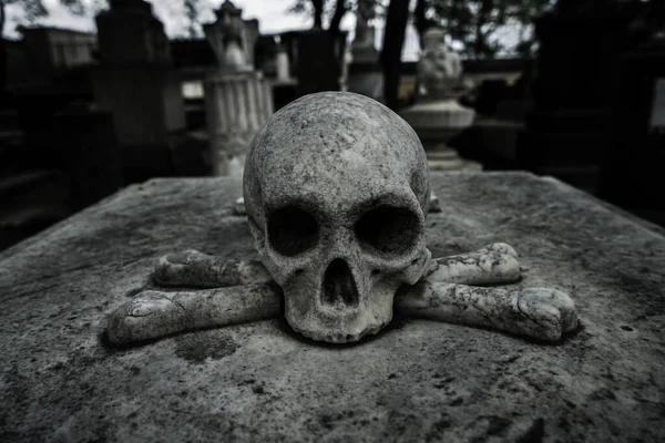 人間の頭蓋骨は中世の墓の上にあり — ストック写真
