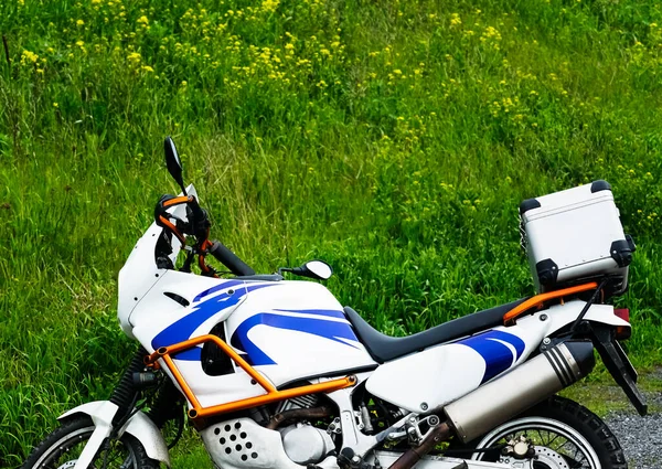 Sporty Cruiser Motorcycle Metal Case Parking Green Grass Hill — Stock fotografie