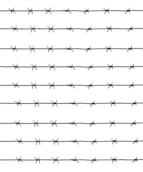 Rozsdás Szögesdrótok Sziluettje Fehér Alapon Elszigetelve Börtön Háború Vagy Bevándorlás — Stock Fotó