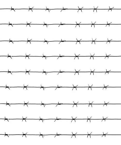 Silueta Alambres Púas Oxidados Aislados Sobre Fondo Blanco Antecedentes Prisión — Foto de Stock