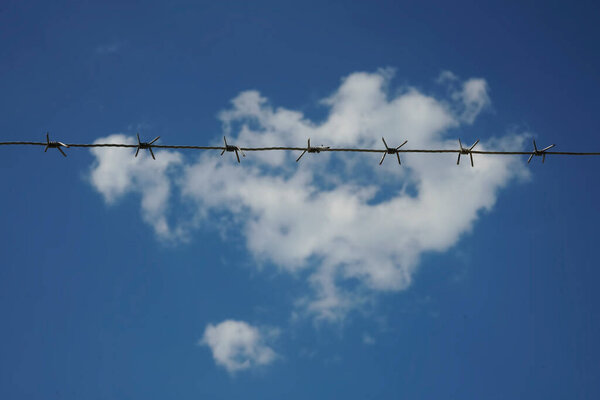 Barbed wire and crystal blue sky with clouds. Three rows of metal wire and a perfectly cloudy sky. Captivity and deprivation of liberty. Detention and deprivation of liberty.