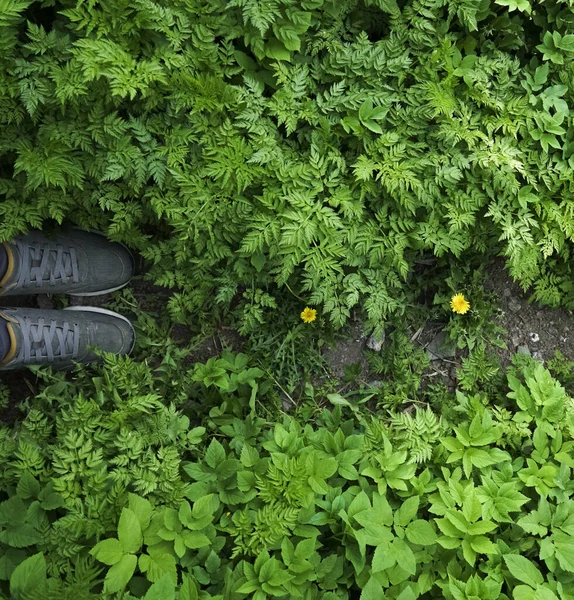 Yeşil Çimenlerin Arasında Duran Spor Ayakkabılar Yolda Duran Bir Adam — Stok fotoğraf