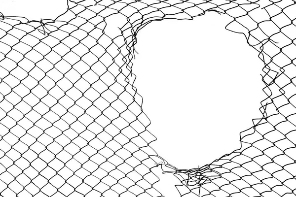 Damage Wire Mesh White Background Mesh Netting Hole Isolated White — Stock Photo, Image