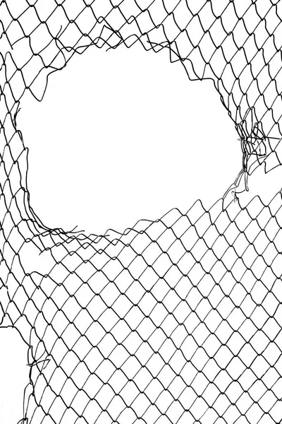 Damaged Wire Mesh White Background Mesh Netting Hole Isolated White Stock  Illustration by ©borjomi88 #465293480
