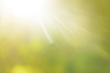 Parlak güneşin altında. Çimenli soyut doğal arkaplan. 