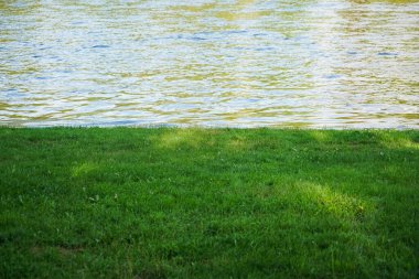 Parlak, nefis yeşil çimlerin yakın çekimi. Yazın nehir. Riverbank arka planda bulanık. Sahne su manzarası.
