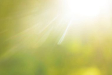 Parlak güneşin altında. Çimenli soyut doğal arkaplan. 