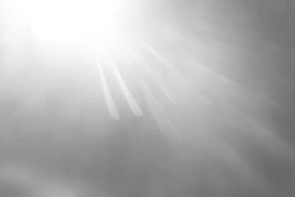 Під Яскравим Сонцем Абстрактний Природний Фон Травою — стокове фото
