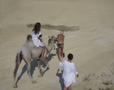 Batı Sahra Çölü, Fas, Kuzey Afrika 'daki Sands of the Western Sahara Çölü' nde arkadaşlarıyla birlikte deveye binen beyaz bir kız..