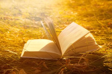 Sarı çimen arka planında gün ışığında bir açık kitap. Mevsim, eğitim, doğa, edebiyat konsepti. Okul fikrine dönelim. Sonbahar mevsimi. 