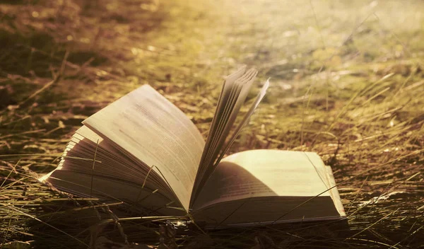 黄色の草の背景に太陽の光で1冊の本 文学の概念 学校のアイデアに戻る — ストック写真