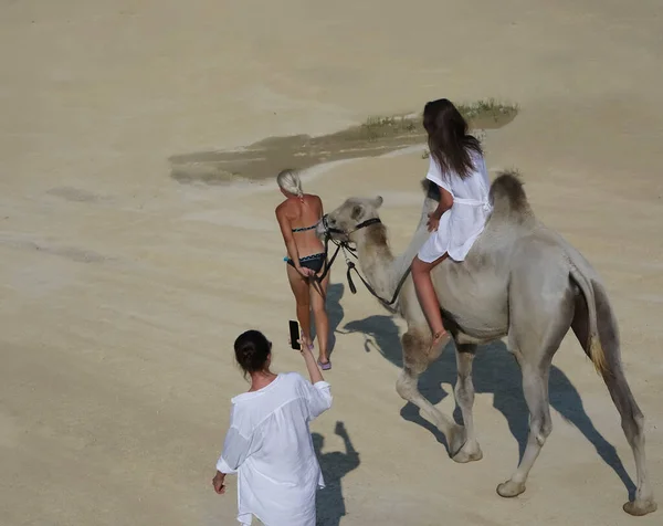 Chica Caucásica Camello Con Sus Amigos Las Arenas Del Desierto —  Fotos de Stock