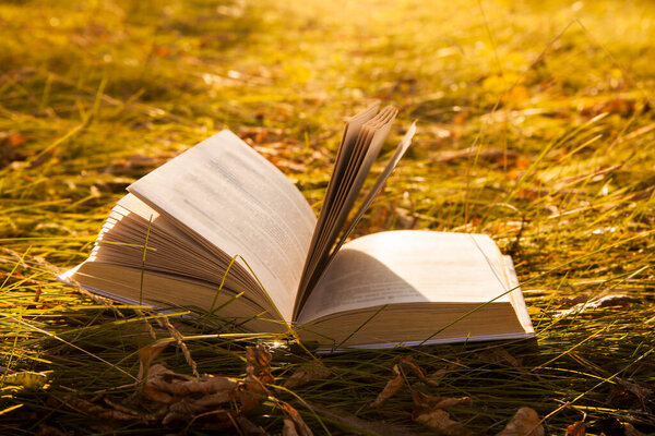 One Open book in sunlight on yellow grass background. Season, education, nature, literature concept. Back to school idea. Autumn season.