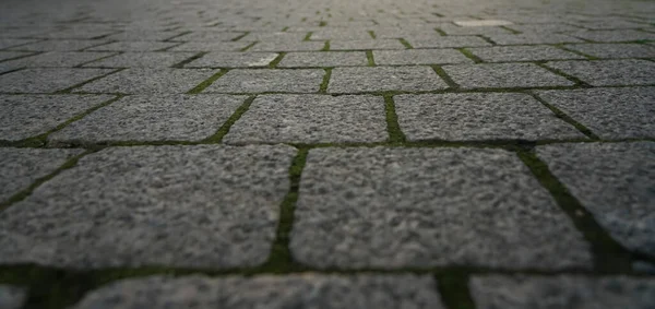 Perspektywny Widok Monotone Gray Stones Ziemi Dla Ulicy Road Spacer — Zdjęcie stockowe
