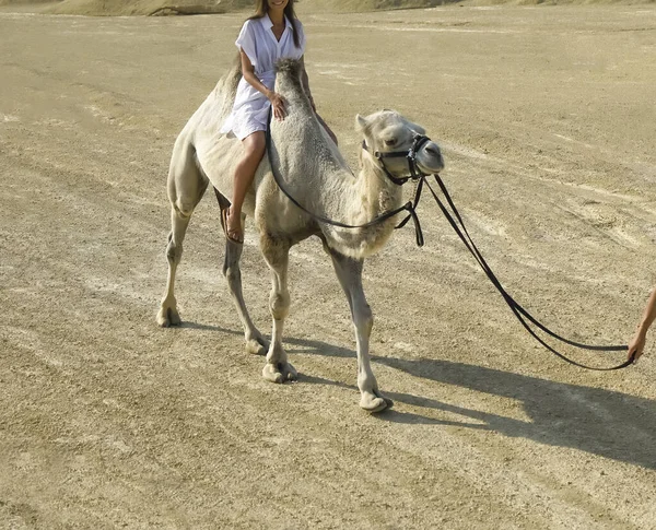 Biała Dziewczyna Wielbłądzie Pustyni Sands Western Sahara Maroko Afryka Północna — Zdjęcie stockowe