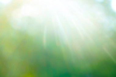 Güzel doğa yeşil Bokeh güneş ışığı, bulanık arkaplan, parktaki ağaçların yaprakları arasından parlayan güneş ışığından gelen yeşil bokeh hareketi. Görüntü hareketi arka gruplandırName