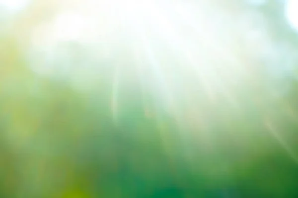 Beautiful Nature Green Bokeh Sunshine Abstract Blurred Background Motion Green — Stock Photo, Image