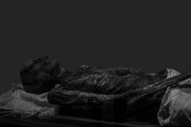 Mumyalanmış Mısır mumyası. Mezar geçmişi olan yakın plan.