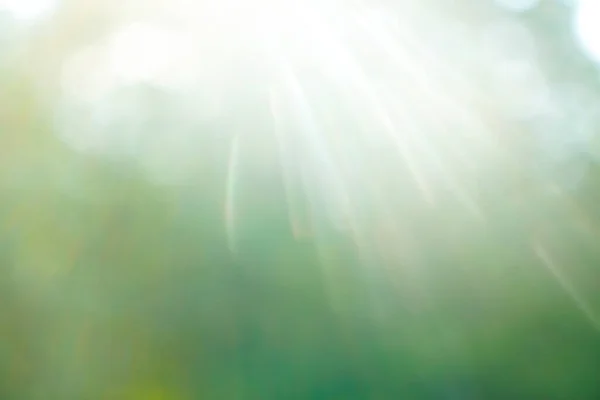 Schöne Natur Grün Bokeh Sonnenschein Abstrakten Verschwommenen Hintergrund Bewegung Des — Stockfoto