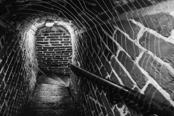 Entrance Underground Cellar Stairs Leading — Stock Photo, Image