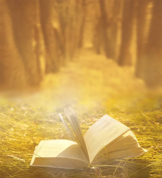 Відкрита Книга Сонці Лежить Жовтому Тлі Трави Сезон Освіта Природа — стокове фото