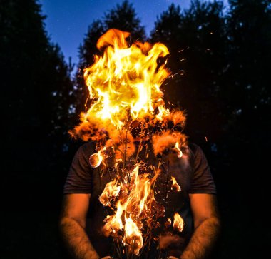 Bir adam elinde kuru çekirdekli bir ot tutar. Gece ormanı ve yıldızlı gökyüzü.