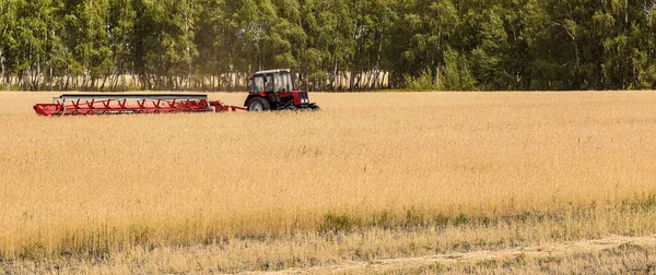 Traktor Smrtkou Seká Pšeničné Uši Poli Samohybná Sekačka Kondicionér Hlavičkou — Stock fotografie