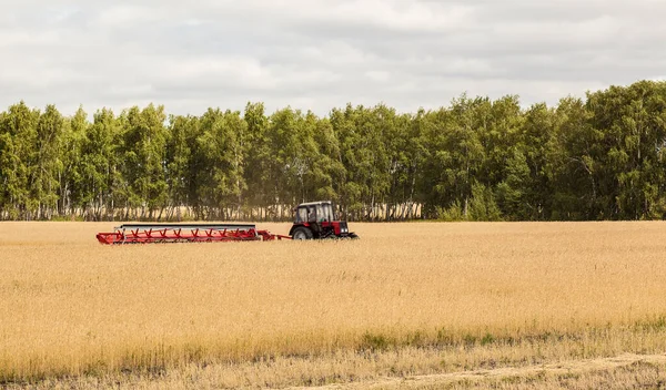 Tracteur Avec Une Faucheuse Fauche Des Épis Blé Dans Champ — Photo